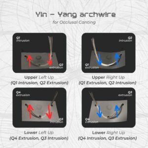 Yin Yang Wire (TMA) - 1825 Lower 100 degree (Sold per unit)